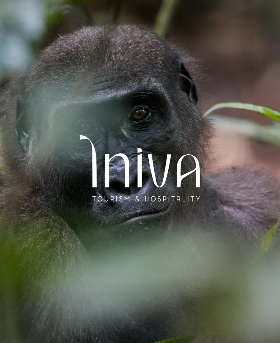 Image de présentation du projet Iniva Tourism